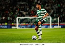 澳大利亚博彩广告禁令覆盖赛事